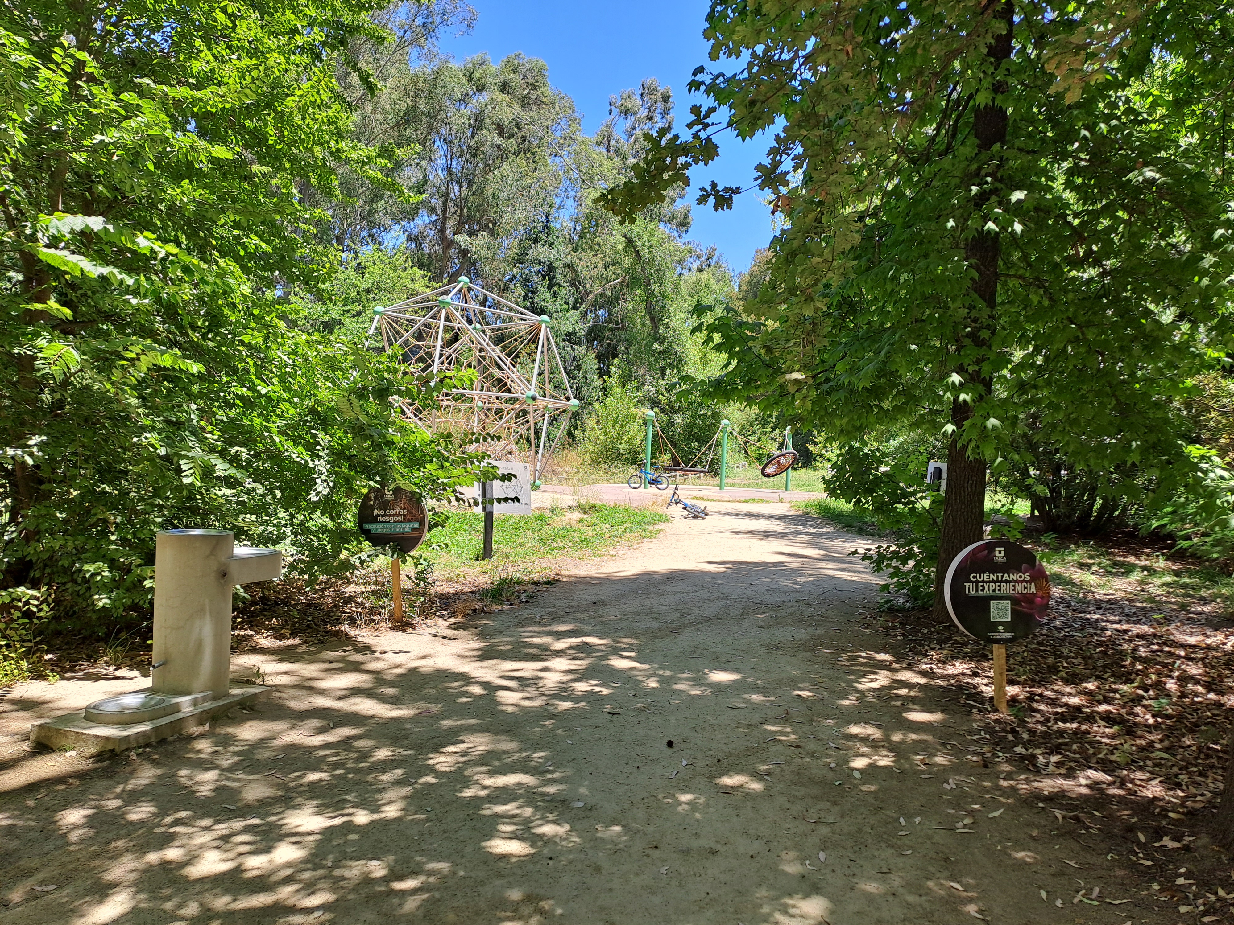fotografía de un sector del sendero, se encuentra totalmente sombreado